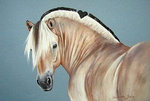 Fjord Horse Art